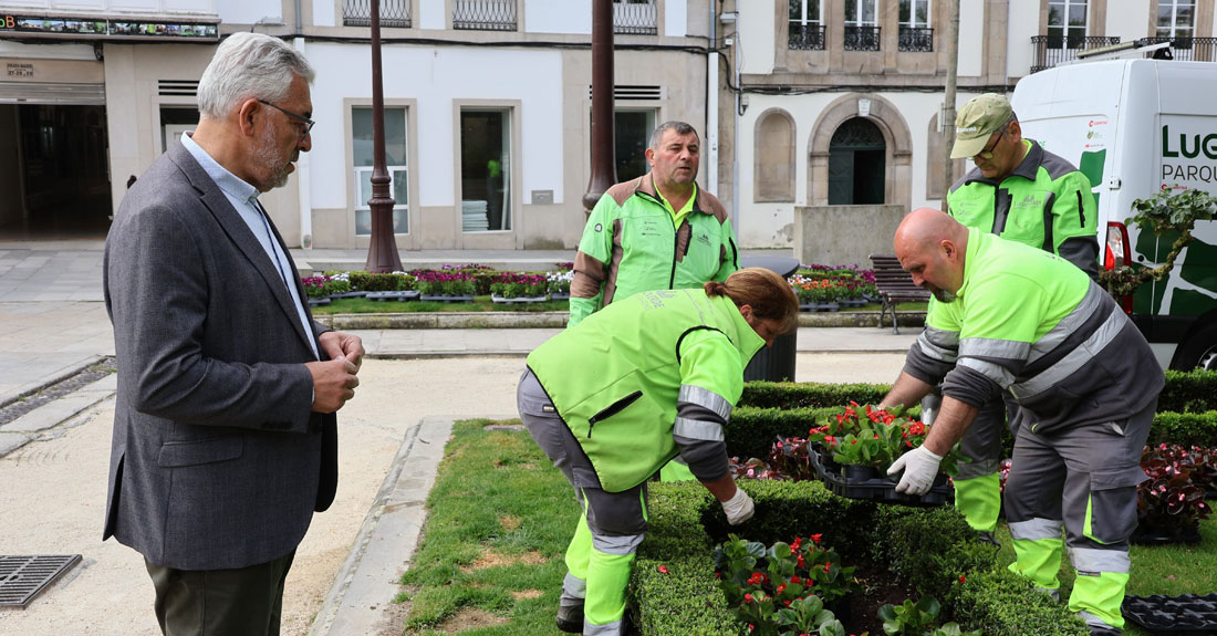 plantacion-plantas-concello-de-lugo