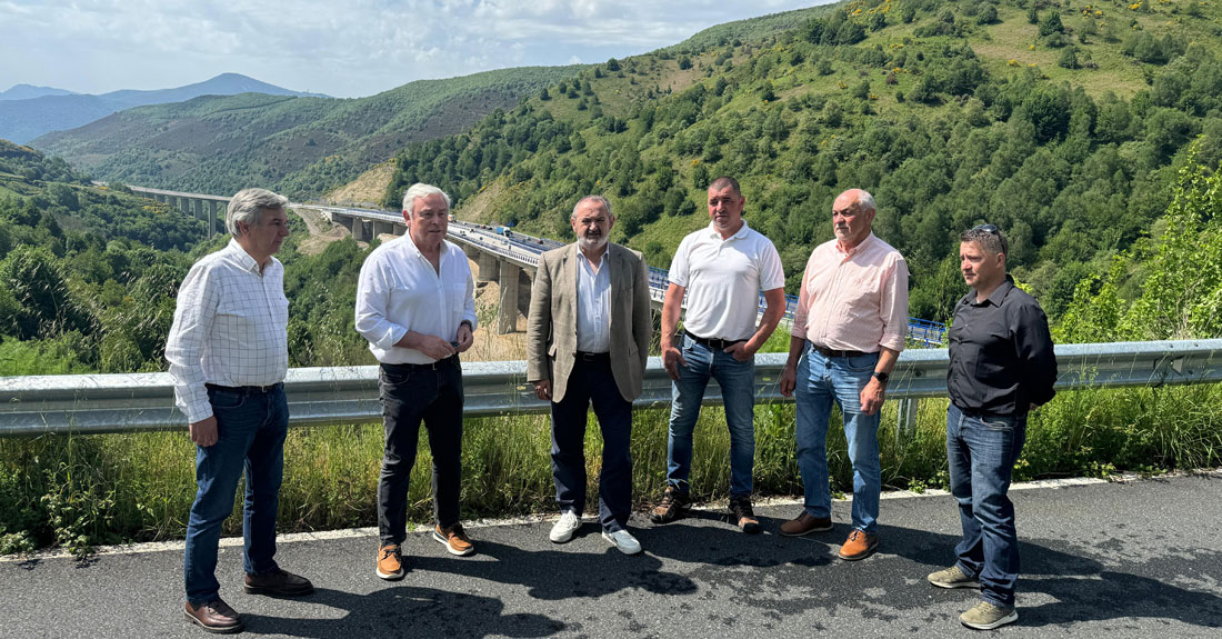 senadores-del-pp-viaducto-o-castro