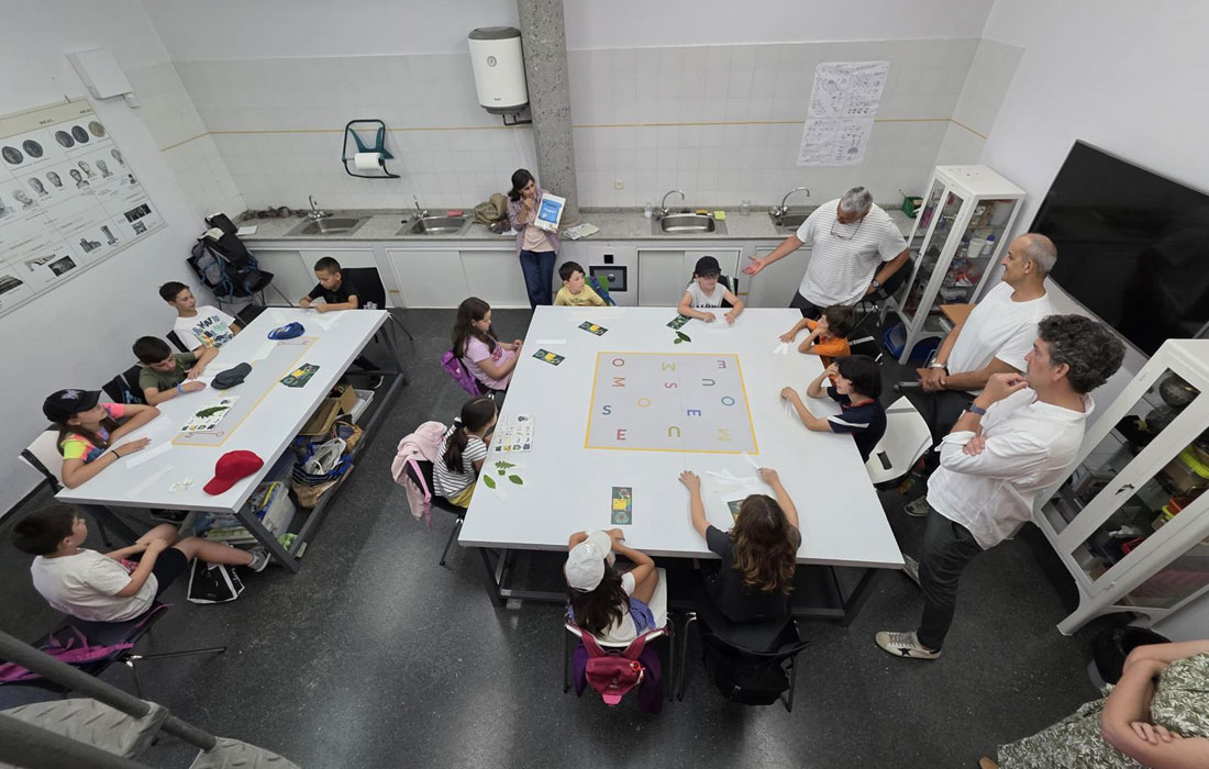 actividades-museo-castro-e-viladonga