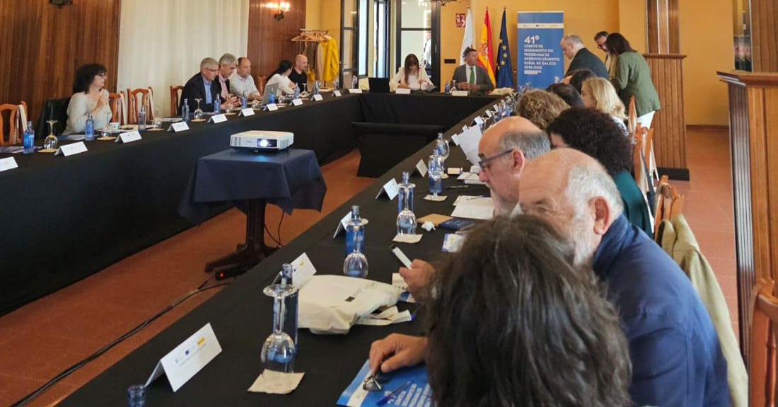 comite-seguimento-plan-desenvolmento-rural