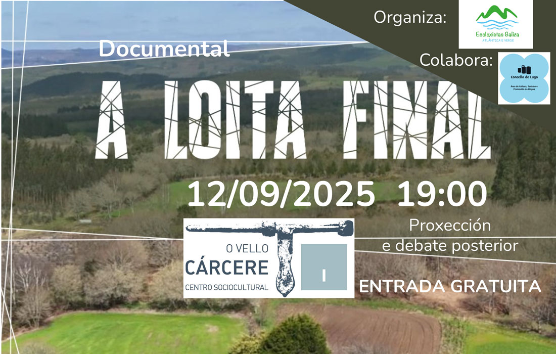 Loita-final-Lugo