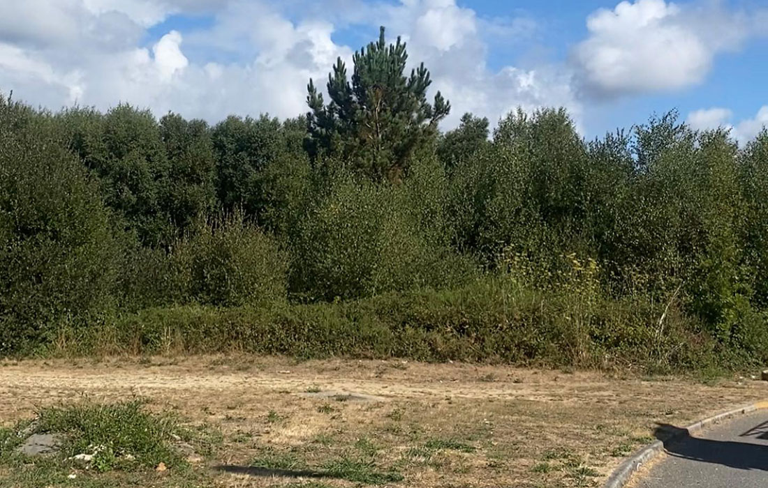 limpeza-fincas-rabade