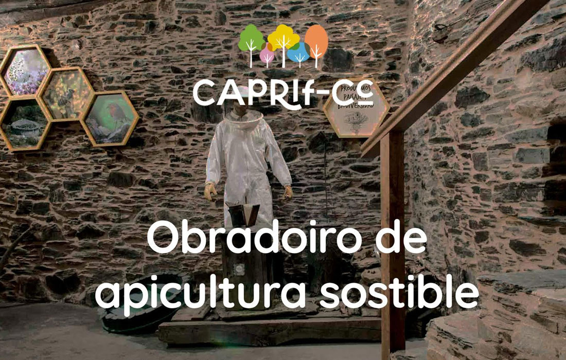 obradoiro-apicultura