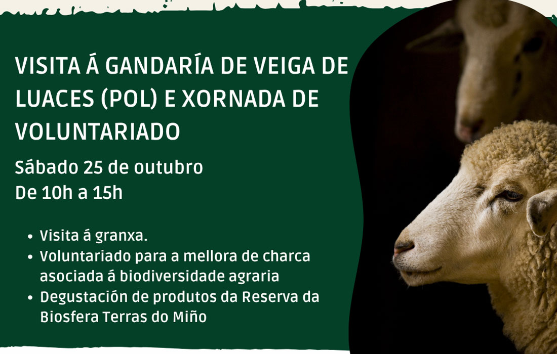 actividade-en-pol-custodia-do-territorio