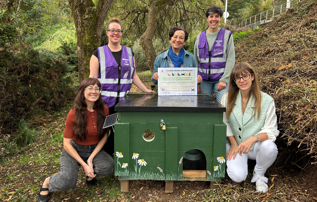 directiva-Michos-de-Lugo