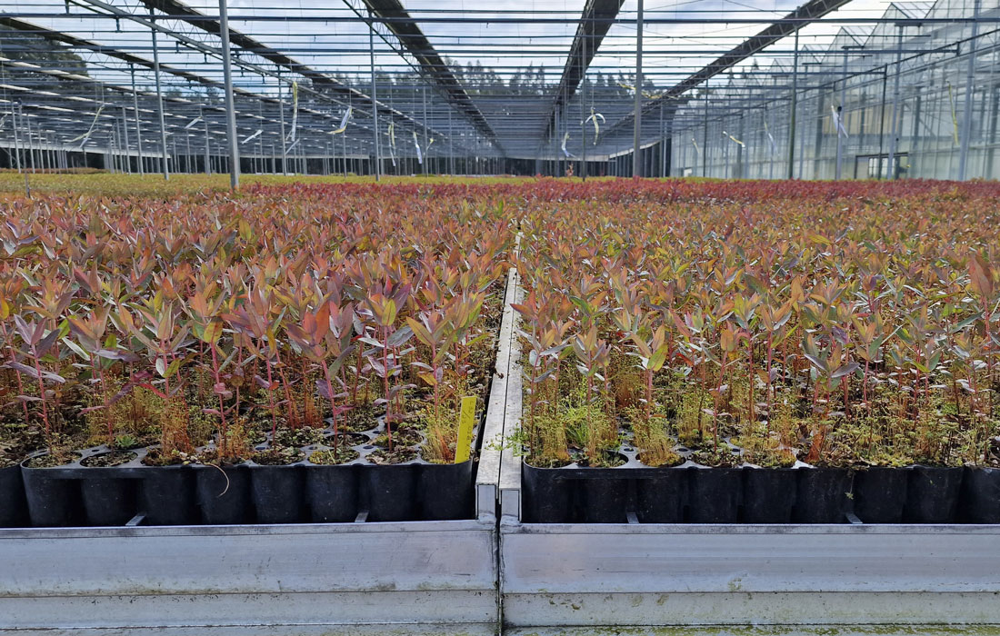 produción-fibras-téxtiles-sostibles