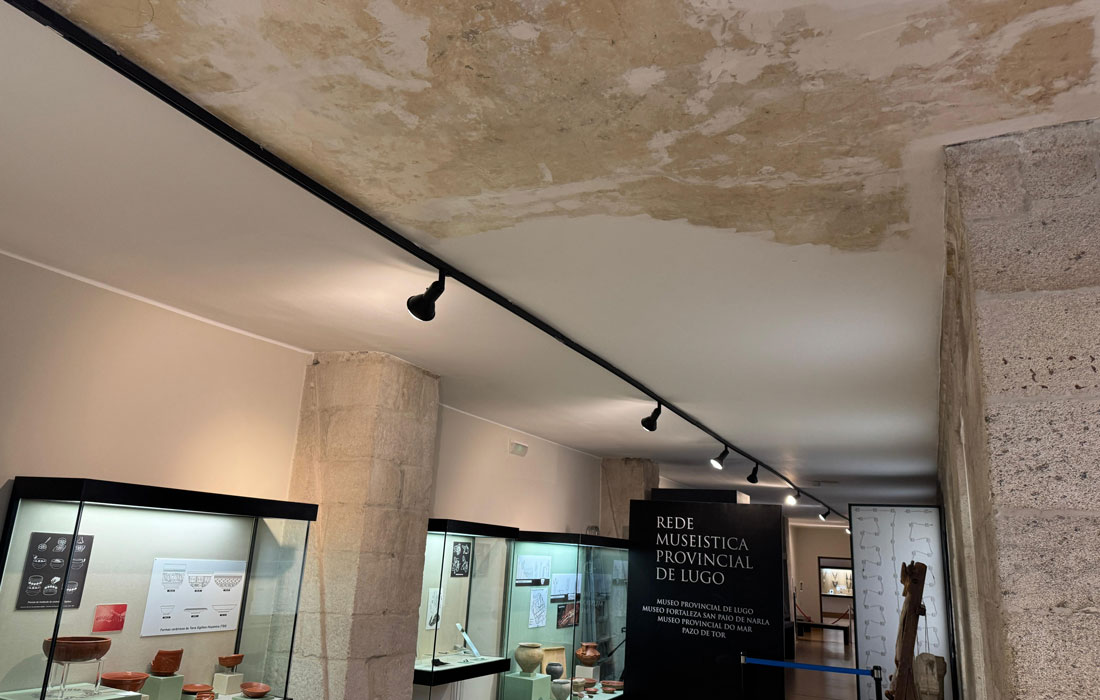 humidades-Museo-Provincial-de-Lugo