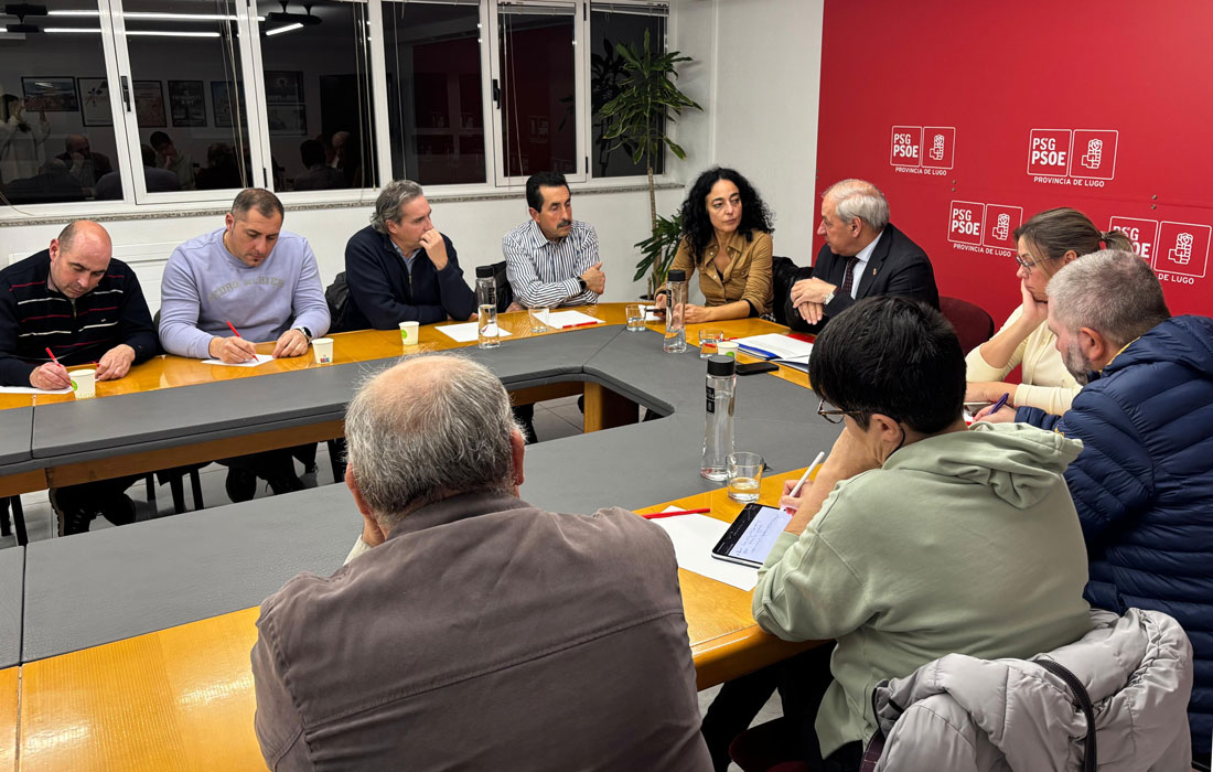 reunion-PSdeG-Comarcal-Lugo