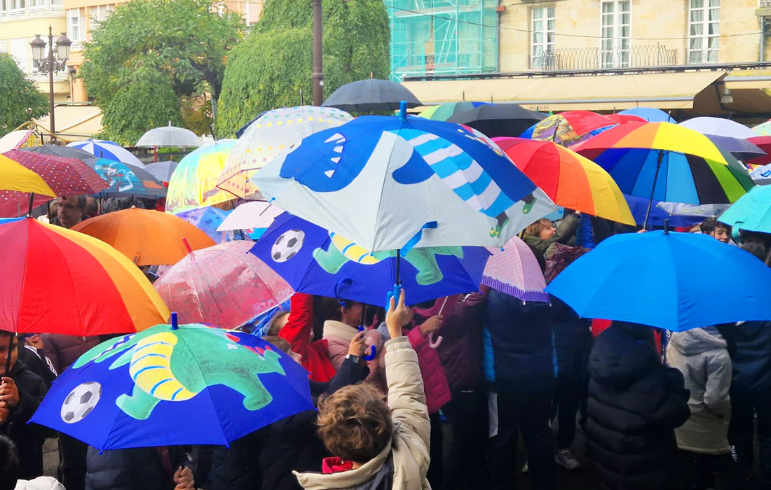 Día-Internacional-das-Persoas-con-Discapacidade-25-Lugo