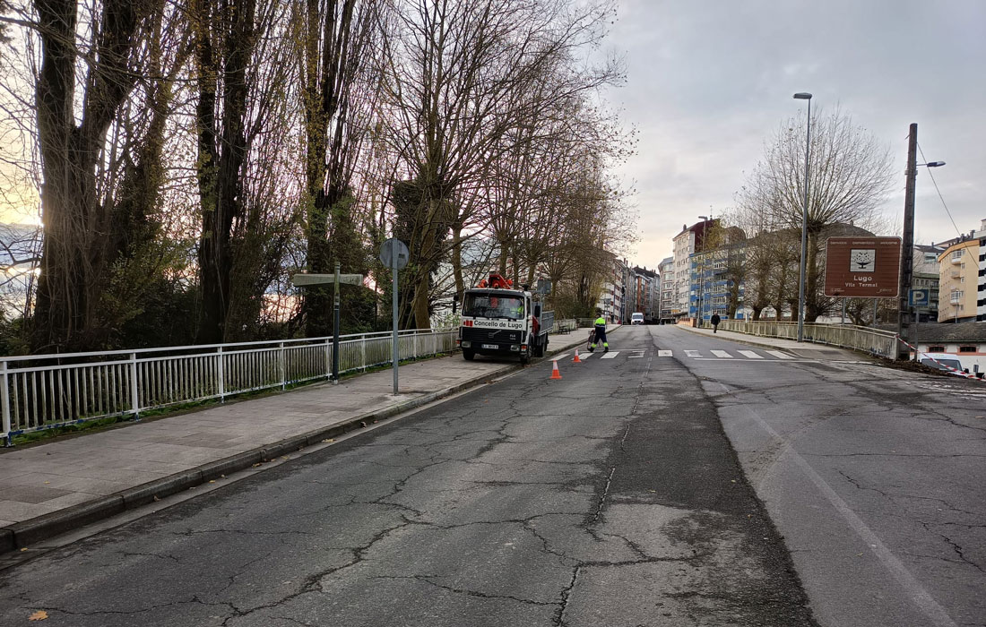 Traballos-de-poda-na-ponte-da-estación-Lugo