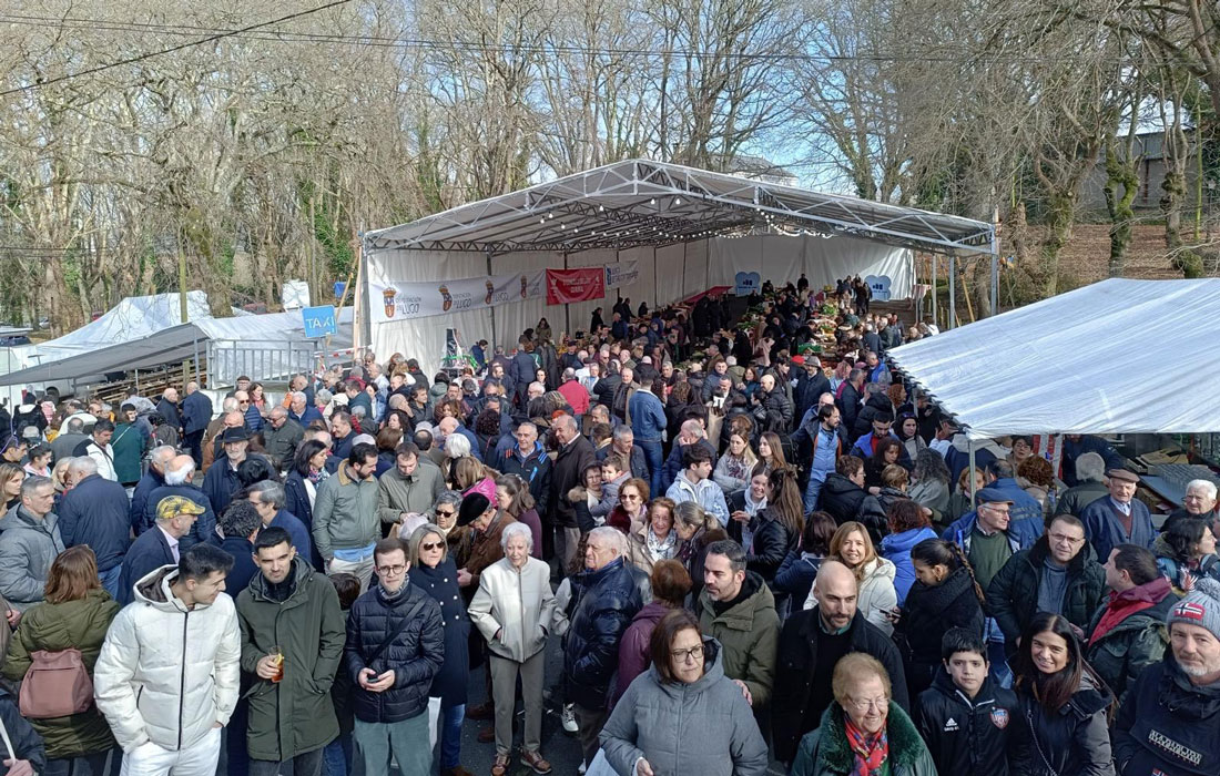 Feira-de-Entroido-de-Nadela