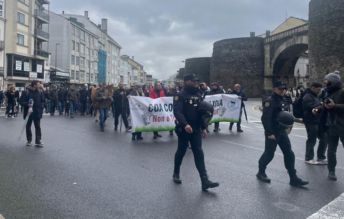 manifestacion-gandeiros-lugo