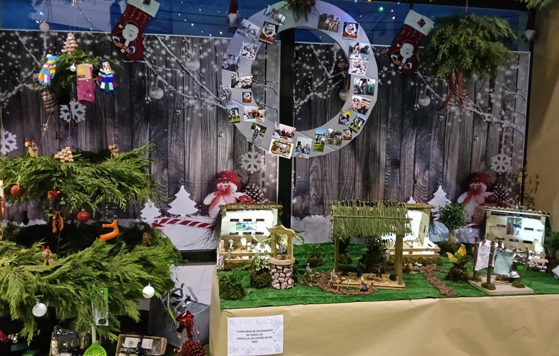 piensos-fulgencio-castro-ribeiras-de-lea-concurso