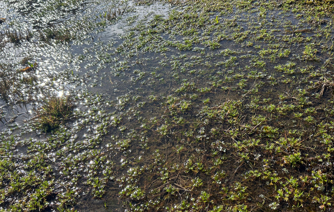 desbordamento-río-recurso