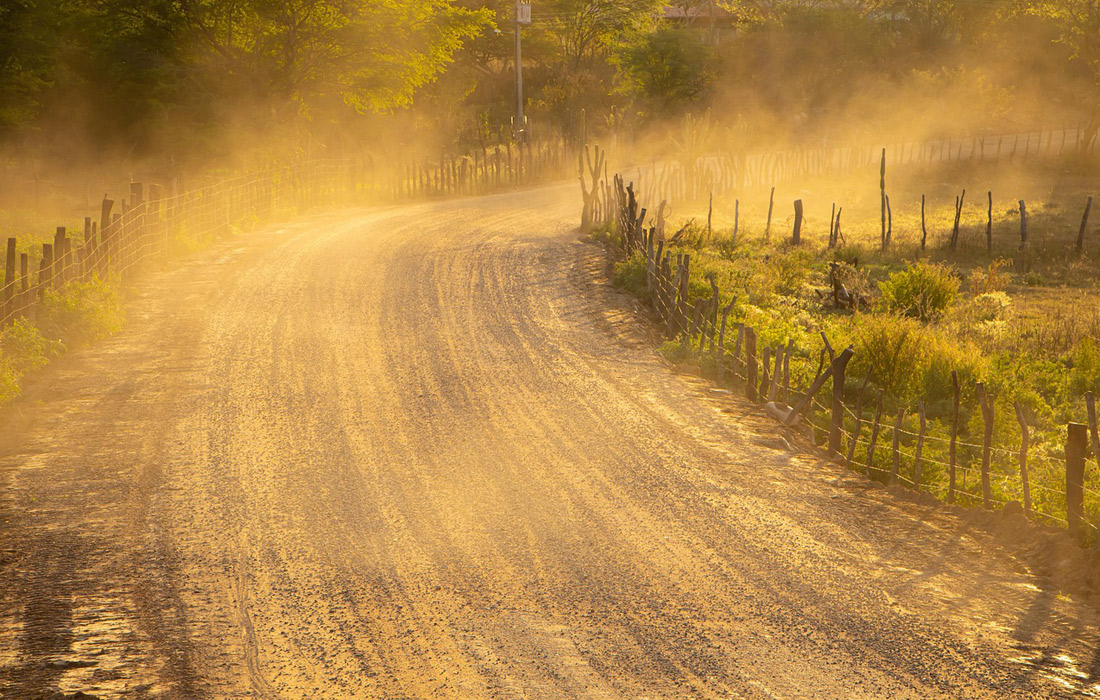 polvo-en-suspension-africano