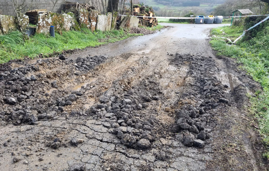 traballos-en-Vilachá-de-Ribas-do-Miño-Lugo