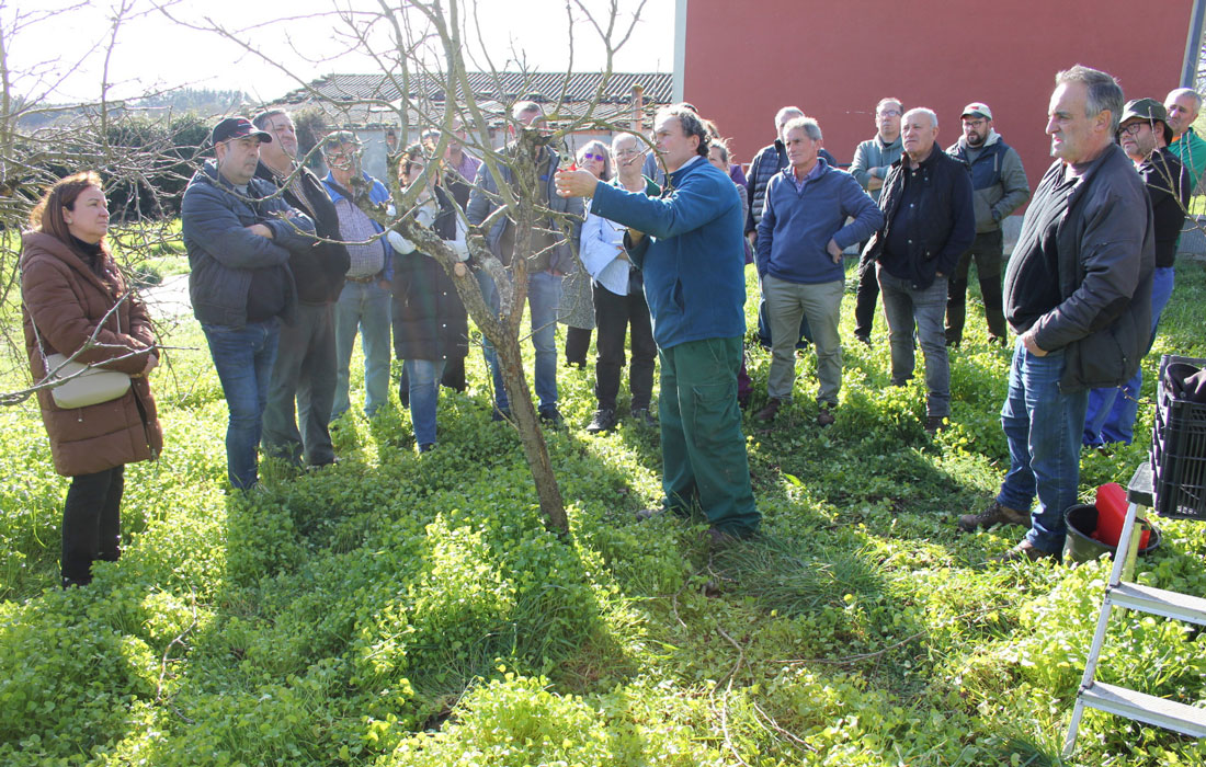curso-de-poda-en-Santa-Cristina-de-San-Román-Lugo