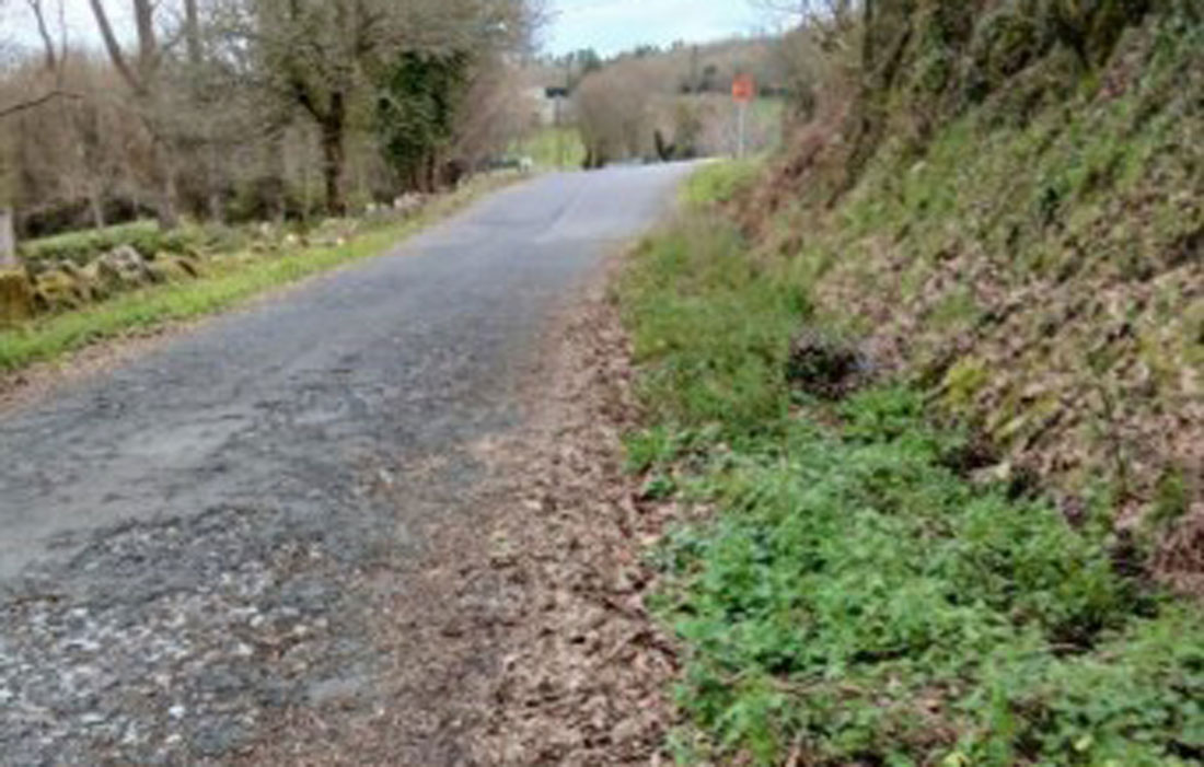 estrada-vella-Friol-Lugo-O-Veral