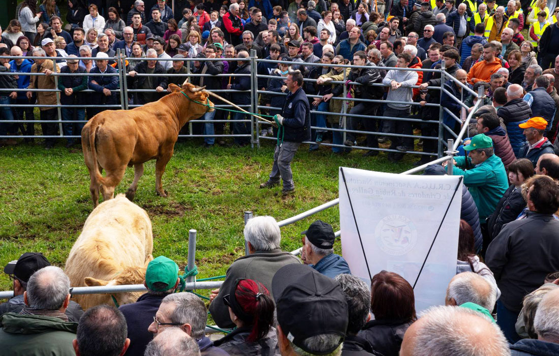 Feira-en-defensa-do-gandeiro-de-montaña-Cervantes