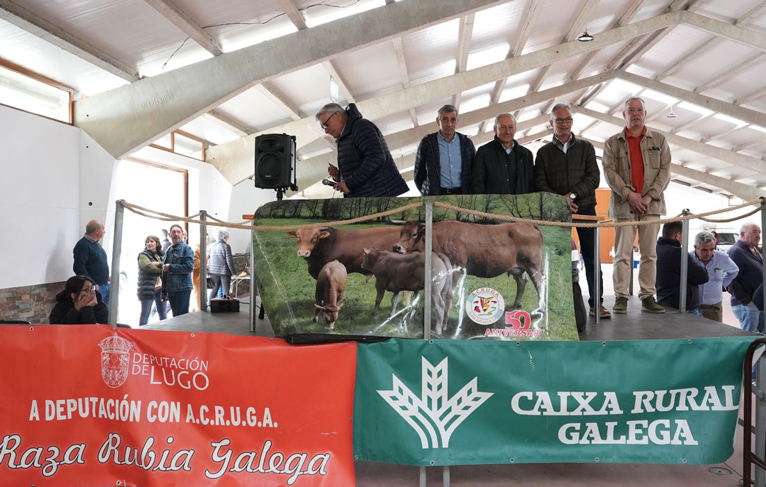 Poxa-Pedrafita-do-Cebreiro-2026