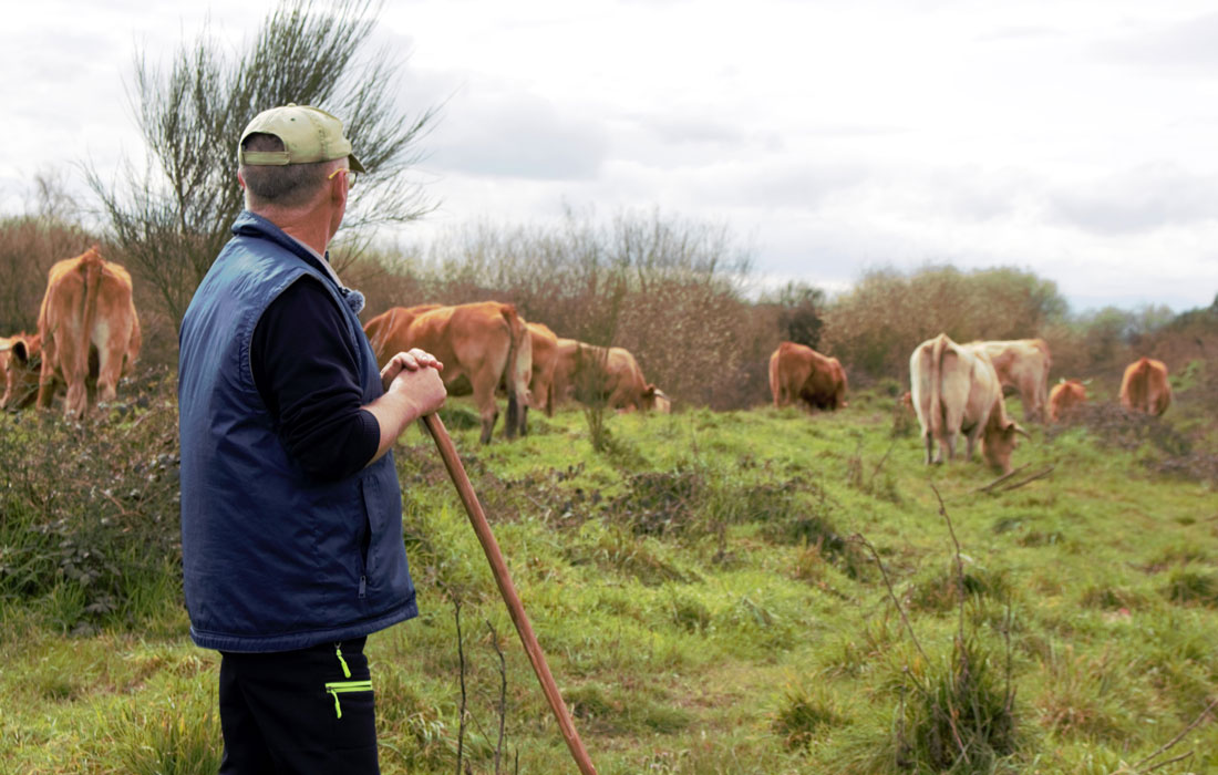 Responsable-Sector-de-Carne-do-SLG-Samuel-Formoso
