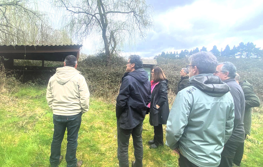 humidal-rabade-lagoa-do-rei