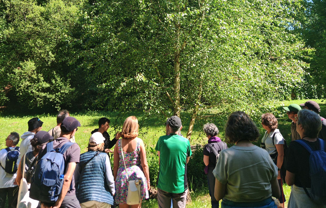 observación-de-aves-nos-arredores-do-río-Miño