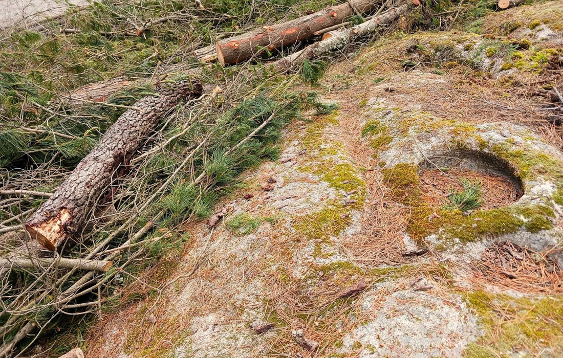 petroglifos-outeiro-de-rei-parada