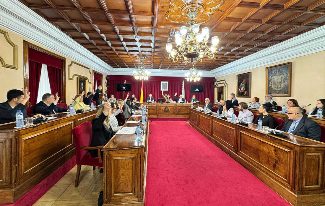 Pleno-Maio-nova-organización-2026-PP