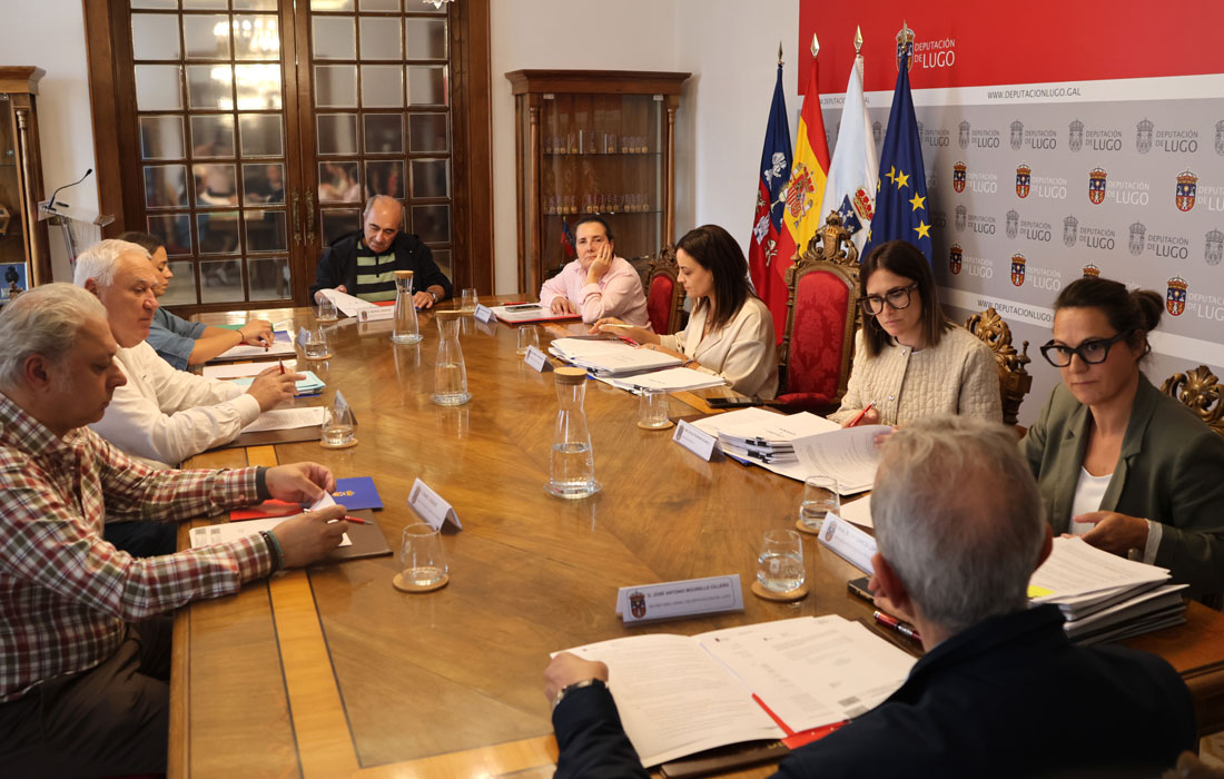 Comisión-seguimento-residencia-Becerreá-Deputación