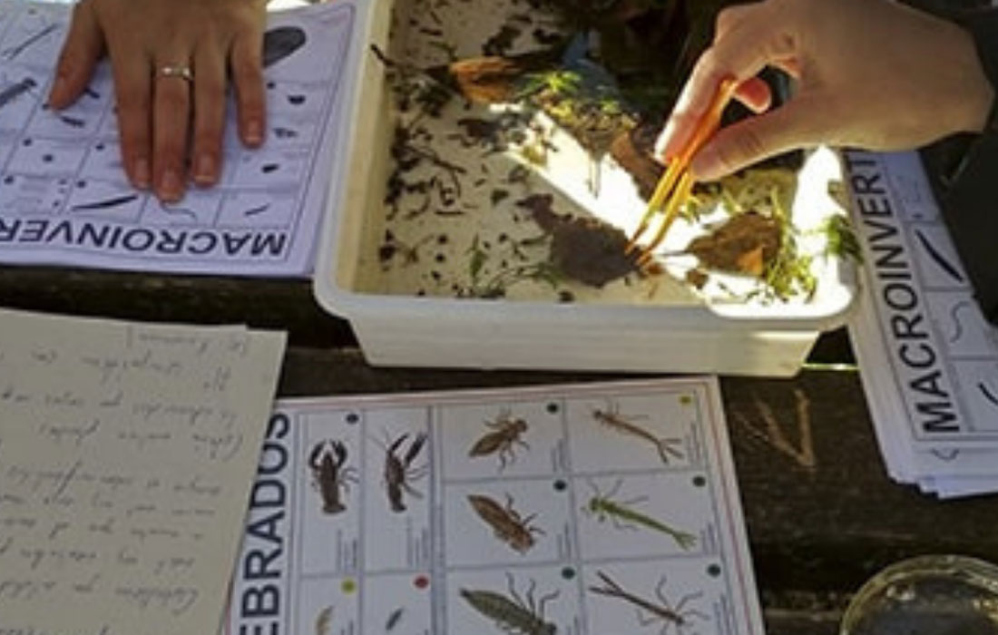 Inspección-de-Primavera-do-Río-Miño-UNED