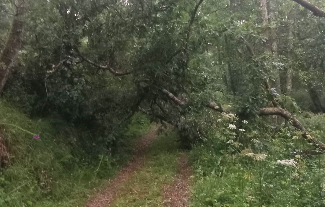 mal-estado-Ruta-de-los-Molinos-rural-Lugo