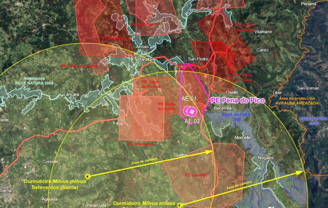 proxecto-parque-eólico-Pena-do-Pico-Ancares-Lugo