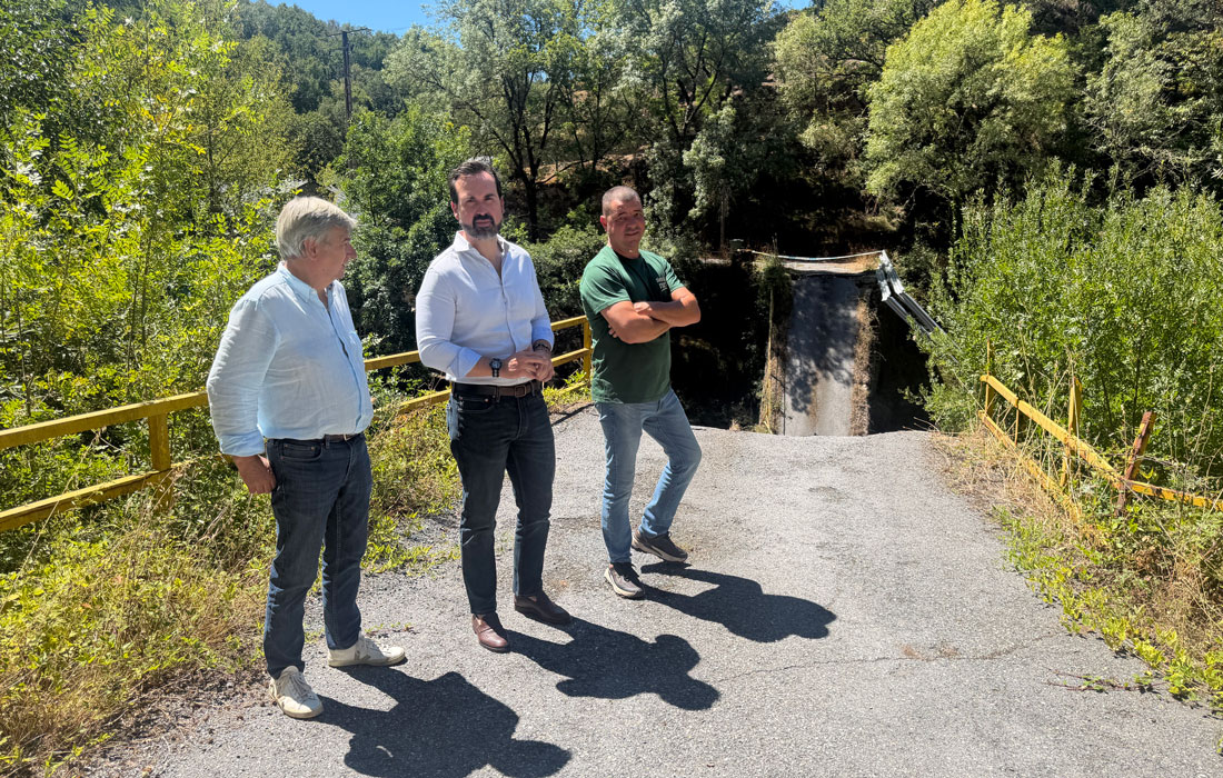 PP-ponte-Navia
