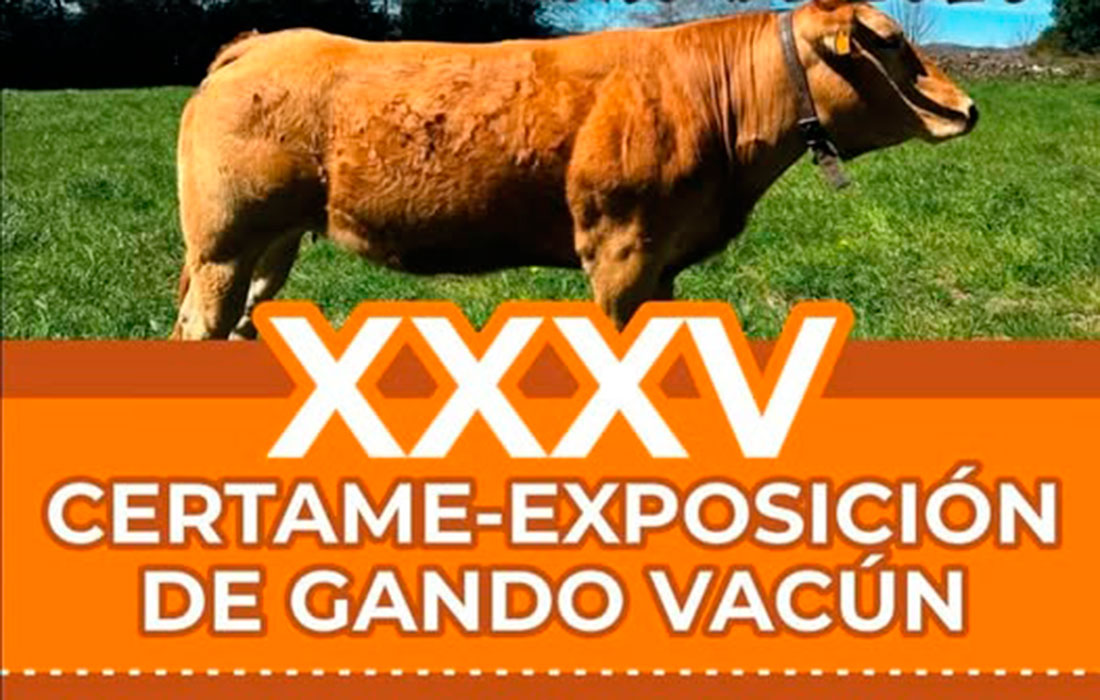 XXXV-certame-gando-pedrafita-setembro-2026