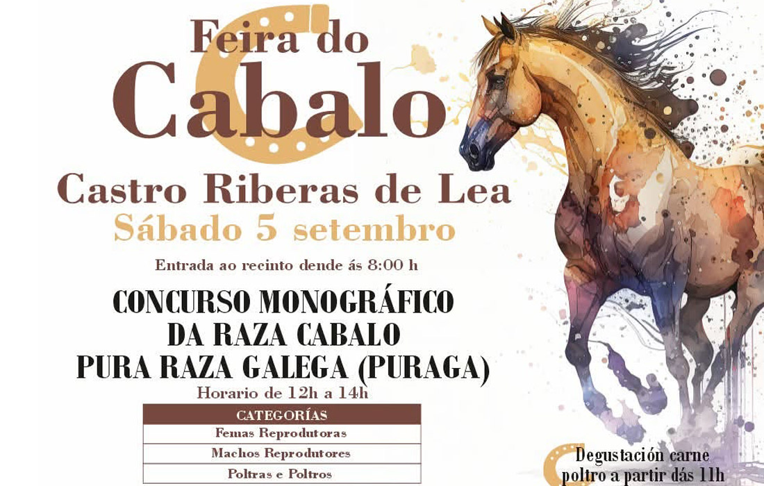 feira-do-cabalo-de-castro