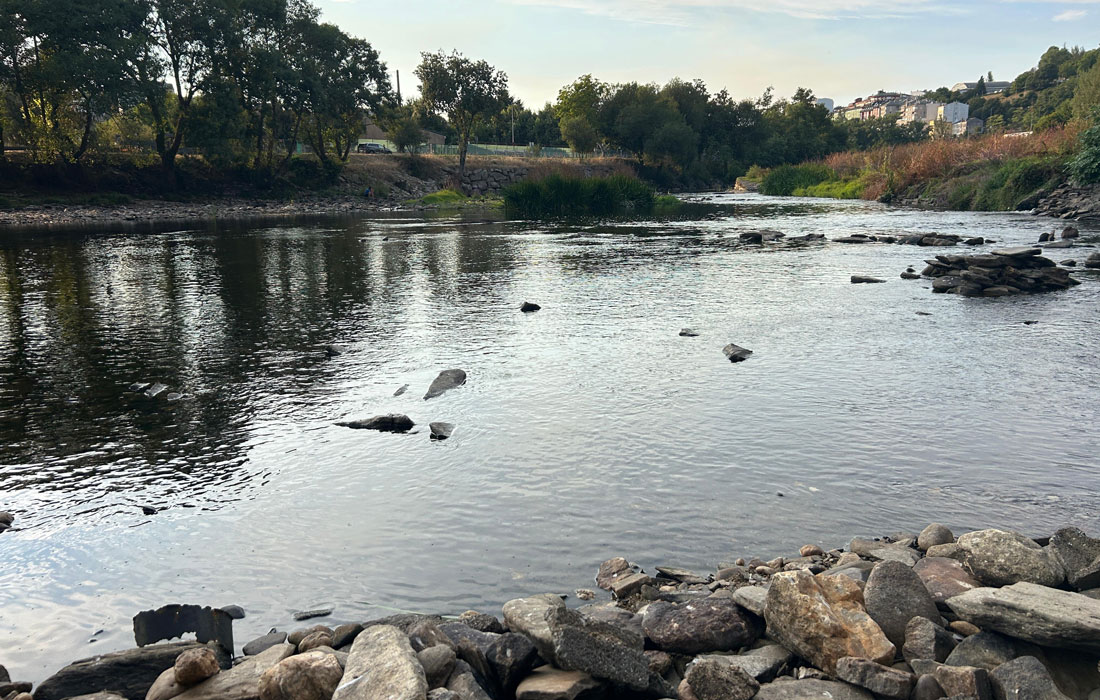 leito-baixo-do-río--Miño-Lugo