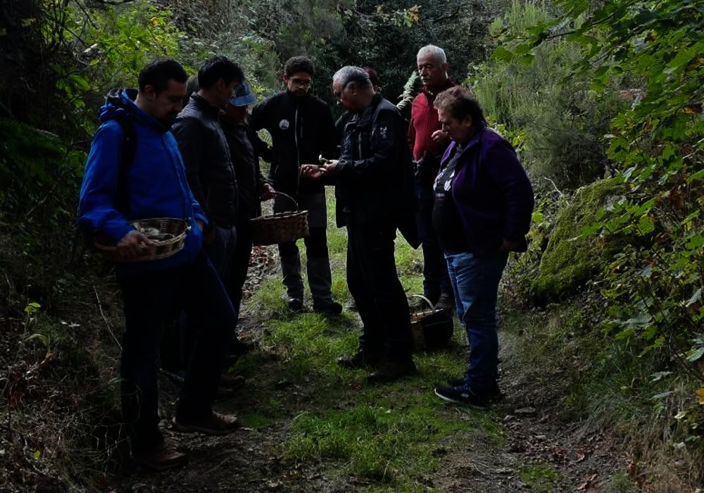 Xornada micolóxica en Piornedo 2026