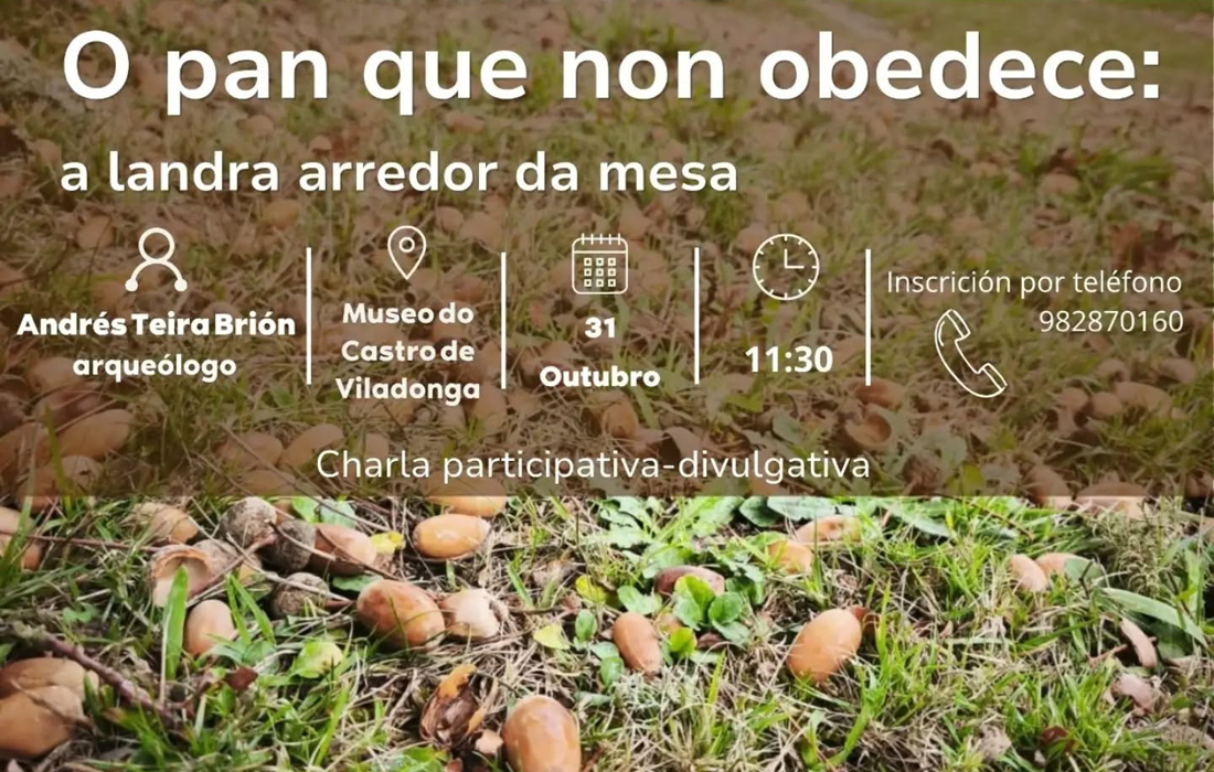 charla-castro-de-viladonga