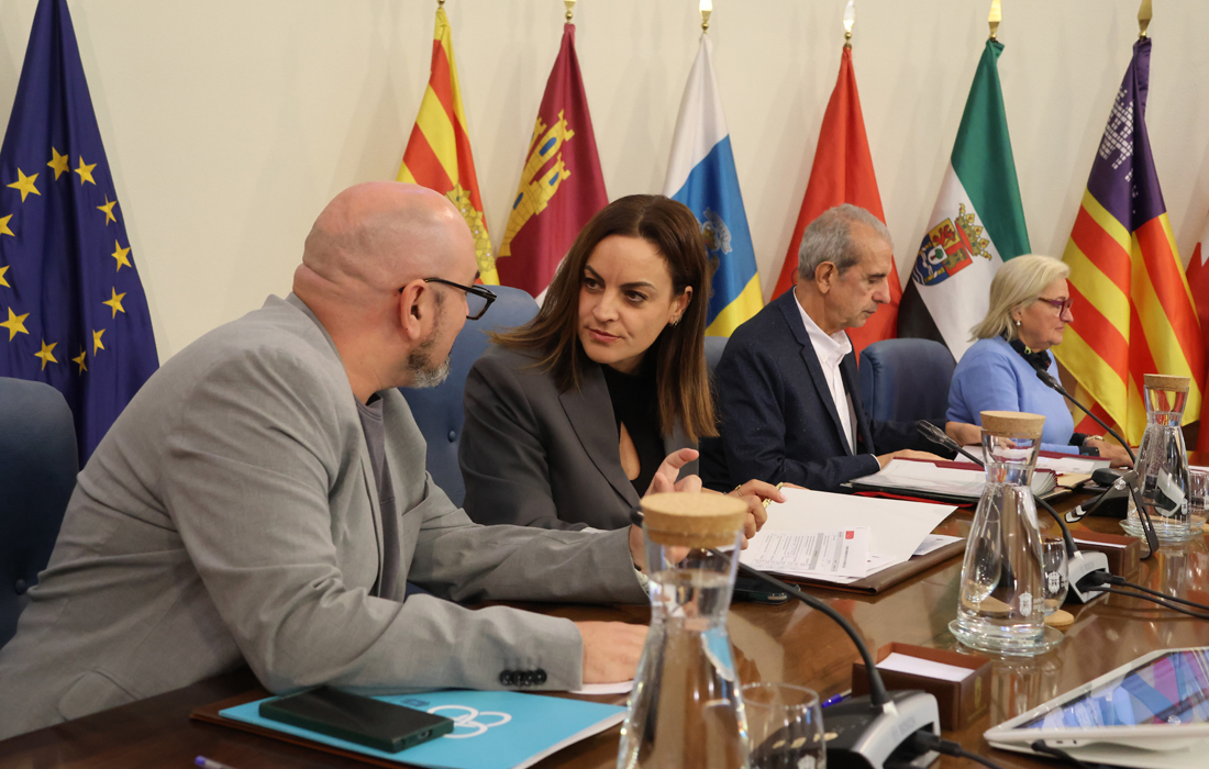 pleno-deputacion-carmela
