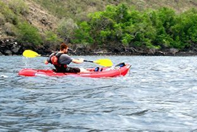 kayak