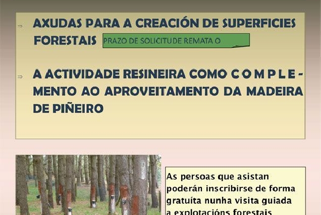 aproveitamento resineiro