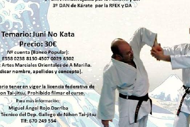 Nihon Tai jitsu cervo