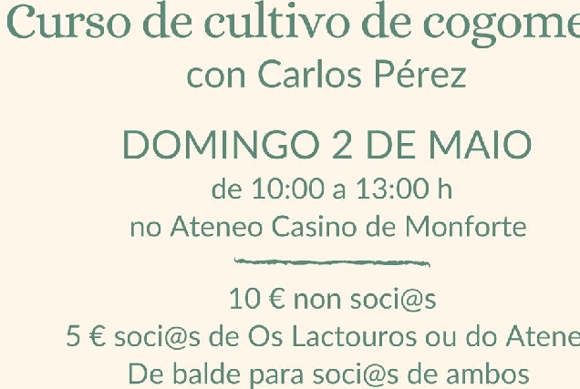 curso cogomelos ateneo monforte portada