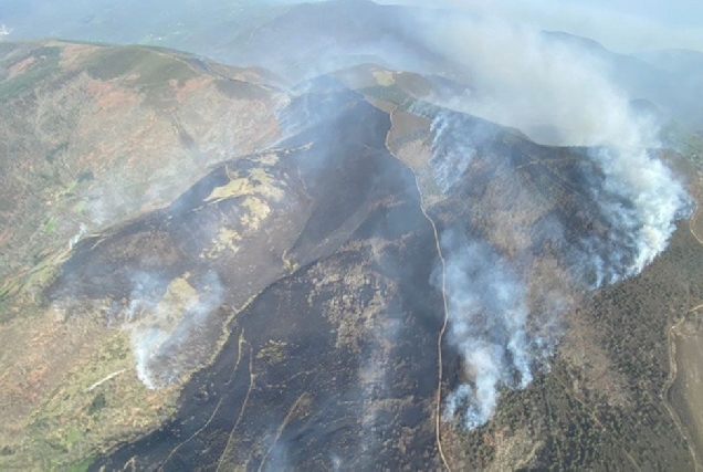 folgoso courel incendio forestal lume