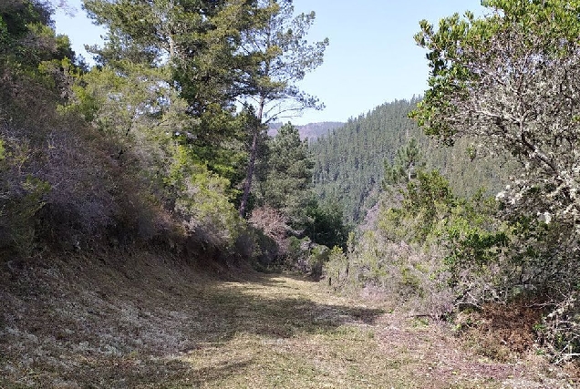 pobra brollón ruta castaña