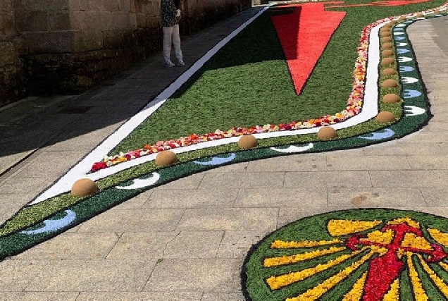 alfomvbra floral sarria 2