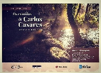 exposicion carlos casares