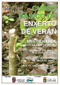 curso enxerto castroverde