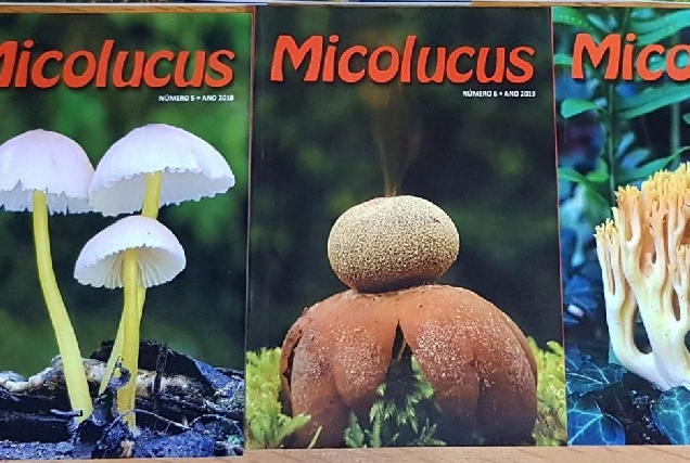 revistas micolucus sociedade micoloxica